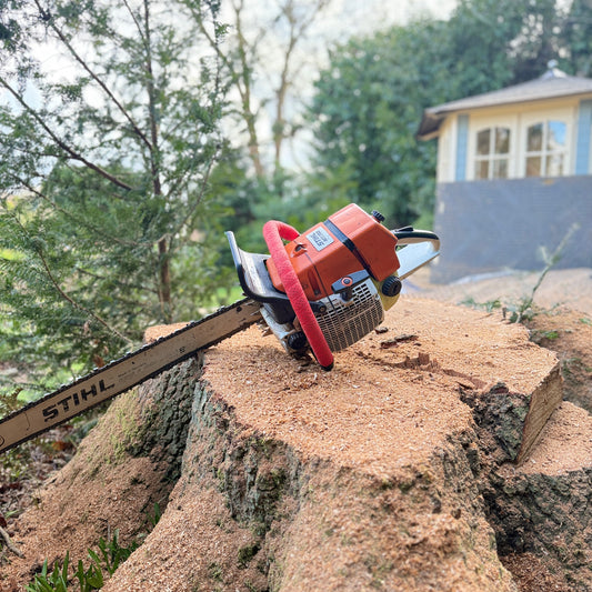 Saw Wrapz V1